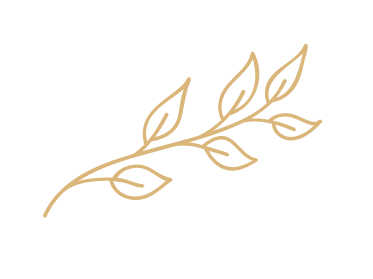 Fresh organic ingredients